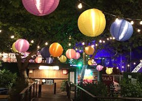 Vibrant paper lanterns hanging over a garden path during a festive night celebration outdoors.